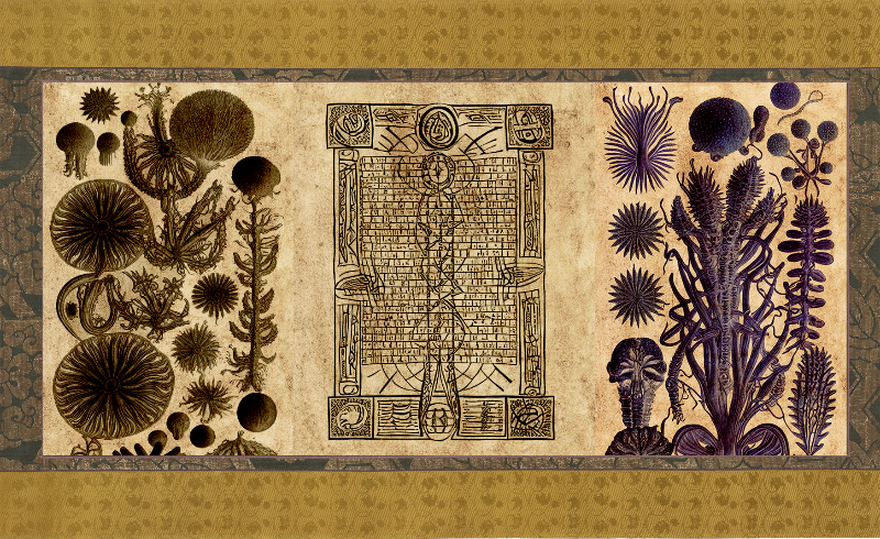 The Emissary Scrolls #16 static token preview