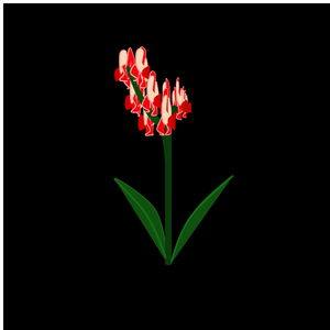 Meta Flower 13 - Orchids project preview