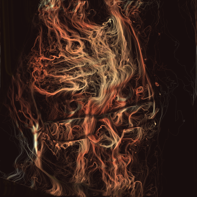 Self-Portraits #11 static token preview