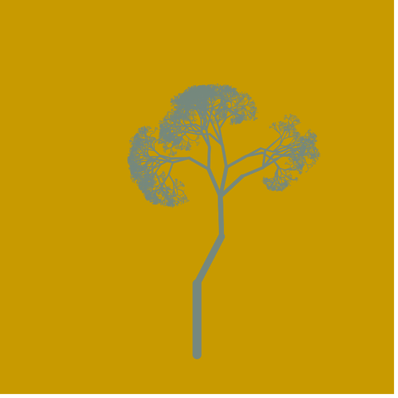 Pinus Pinea #8 static token preview