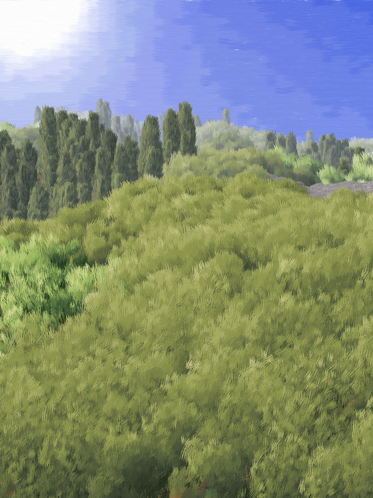 Provence #2 static token preview