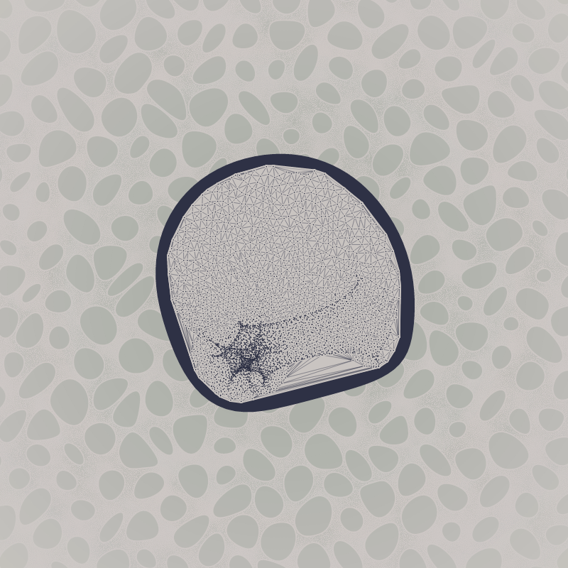 Protista #16 static token preview