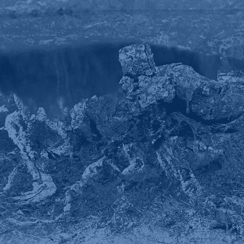 Plant remains #12 static token preview