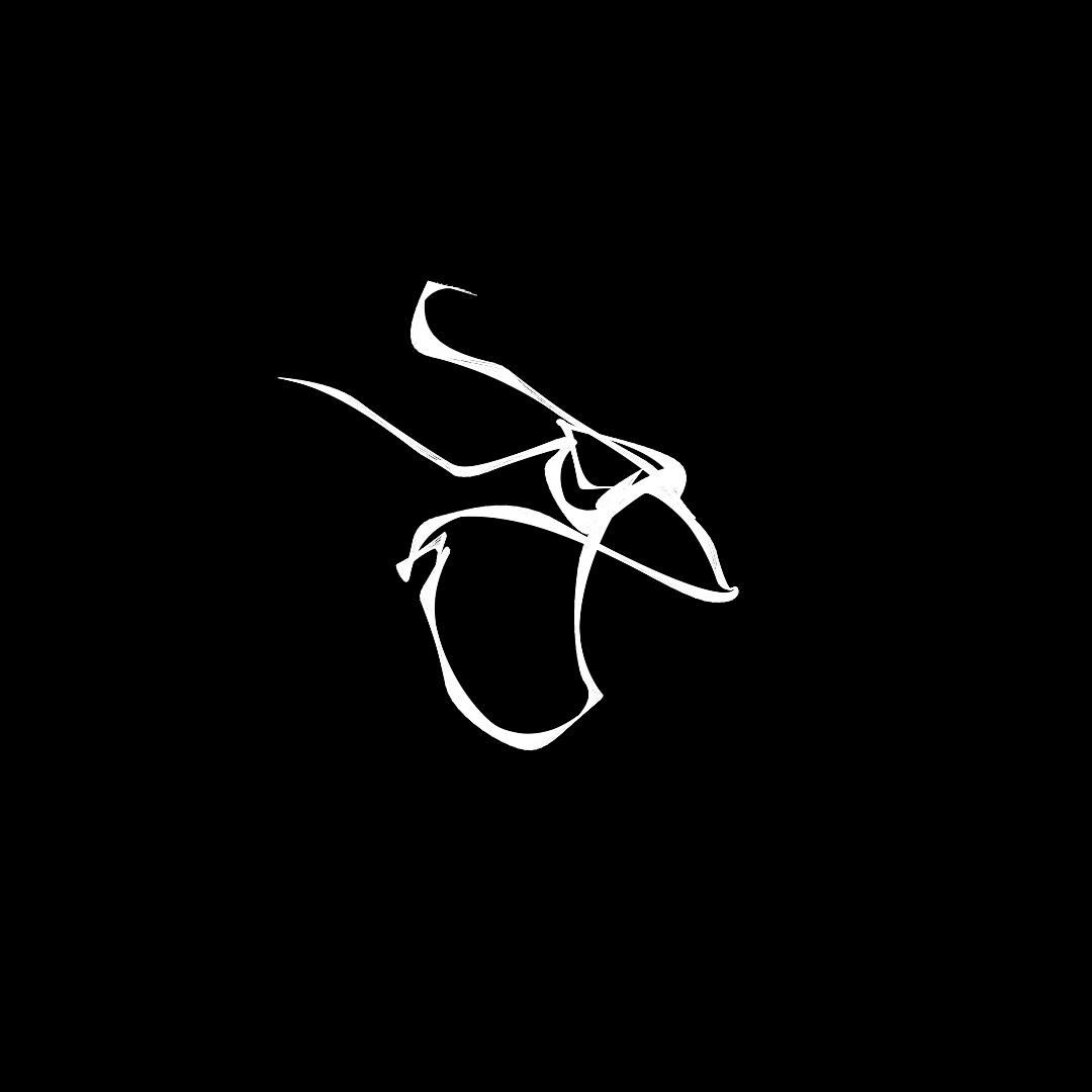 What do you see? #13 static token preview