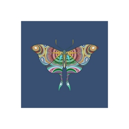 The Moth Experiment project preview