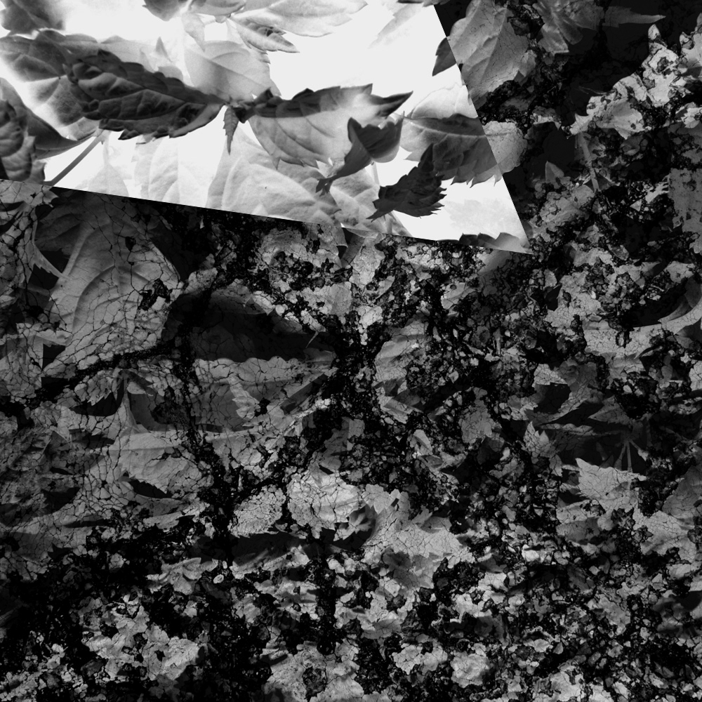 Subjective photography #1 #10 static token preview