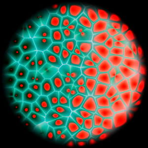 Motile project preview
