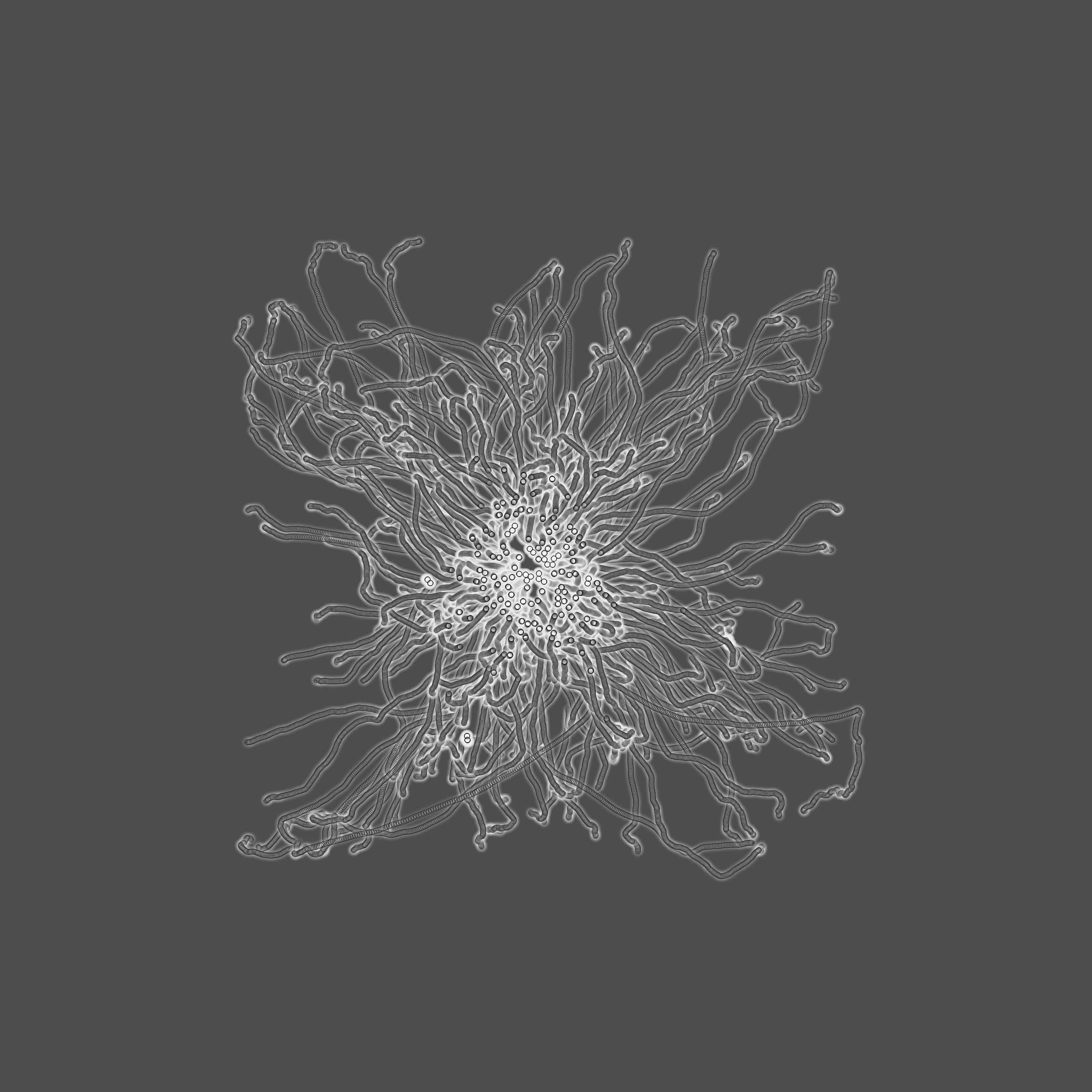 grey fungi wisdom #5 static token preview