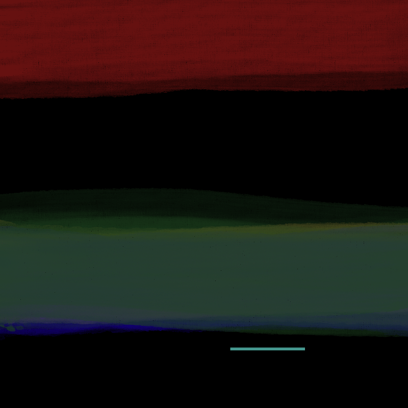 Arts of Chet Abstract 2 #7 static token preview
