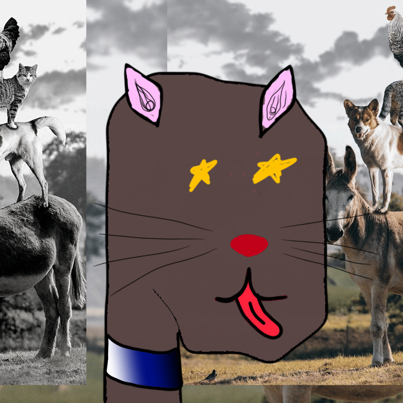 hi CAT lucas #4 static token preview