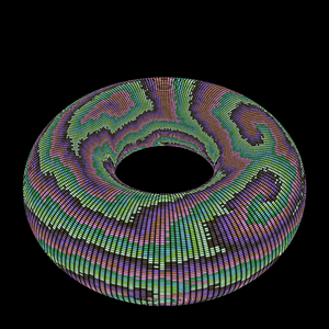 Reaction Diffusion on a Torus project preview