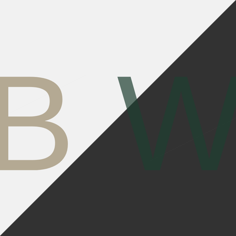 B W #6 static token preview