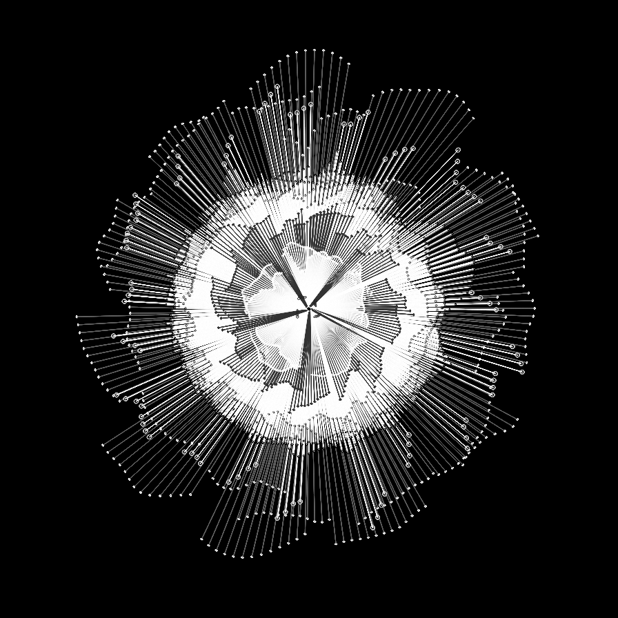 Camellia #28 static token preview