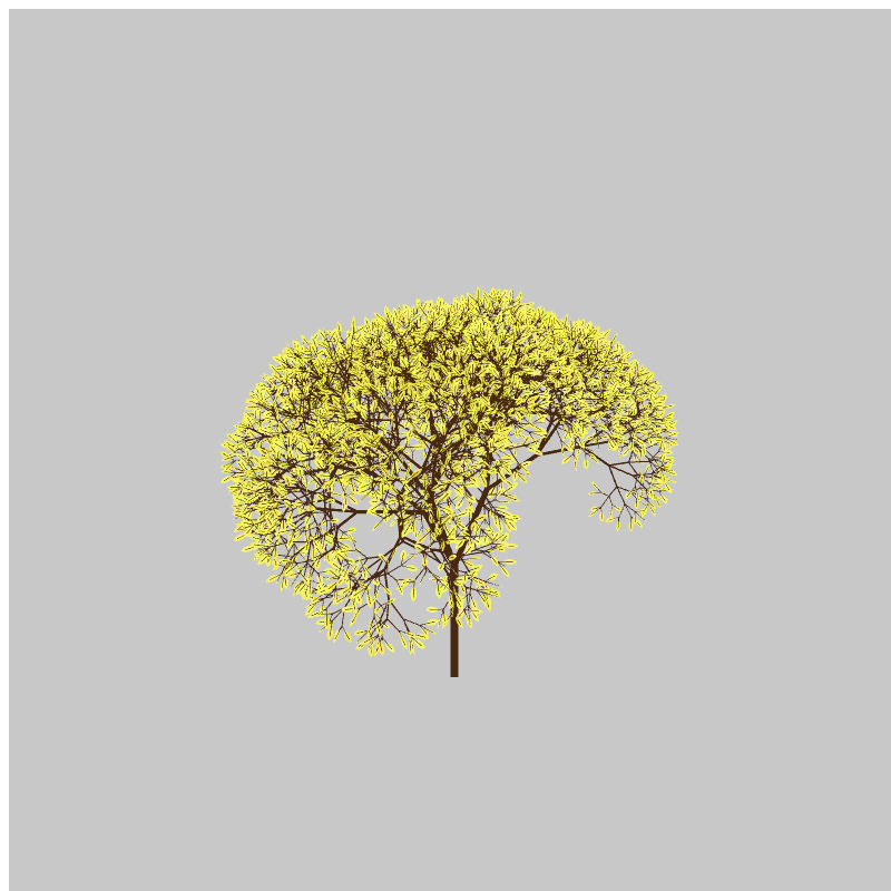 CandyTree #8 static token preview