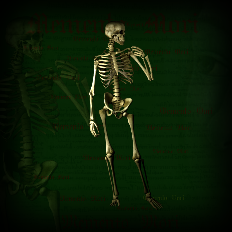 Memento Mori #24 static token preview