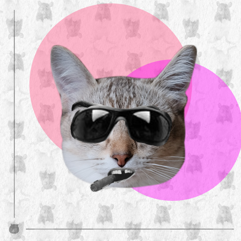Kittenstein #22 static token preview