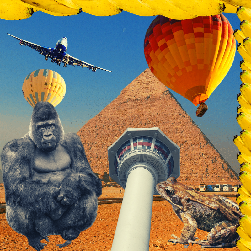 Banana & Pepe on mysterious trips #17 static token preview