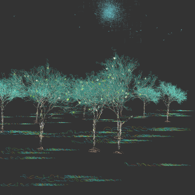 Black winter forest #2 static token preview