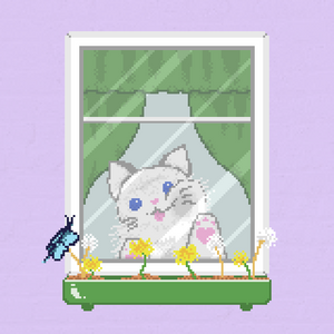 Window Catz project preview