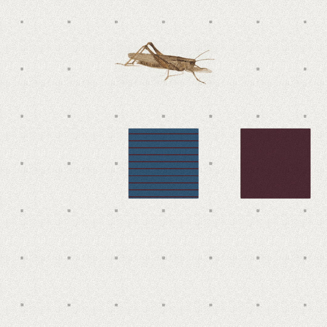 Grasshopper #2 static token preview