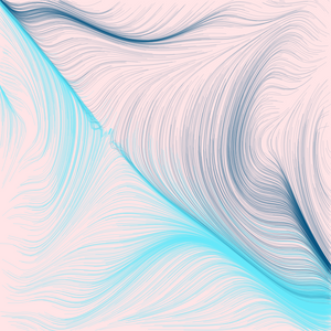 fields project preview