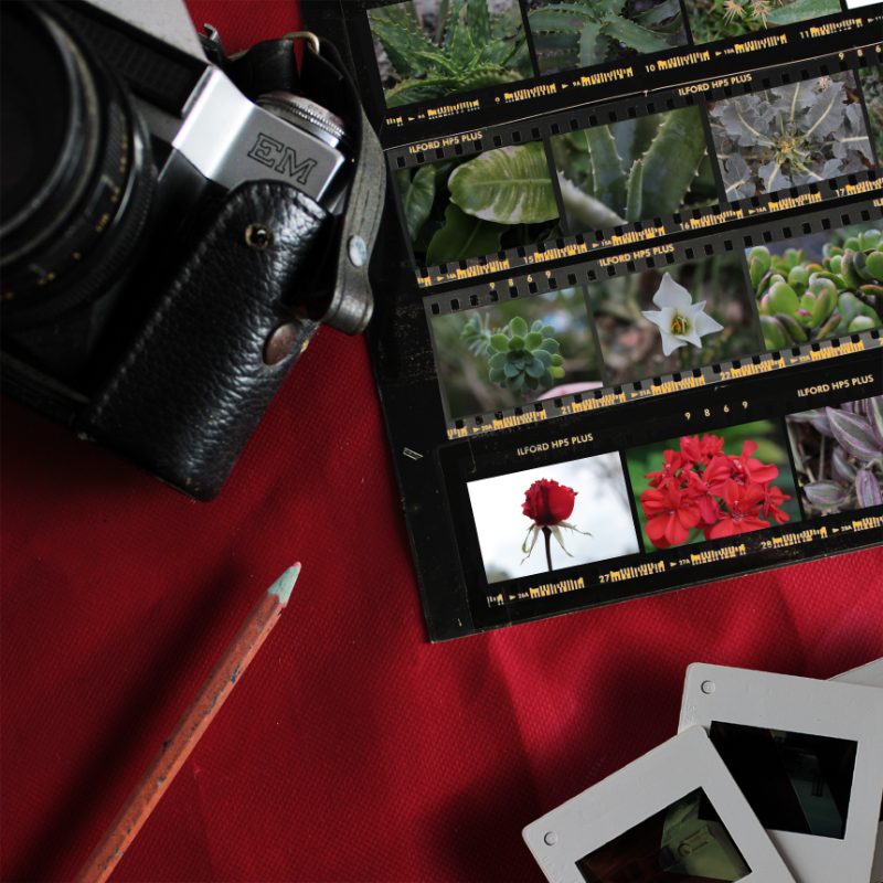 Contact Sheet #23 static token preview