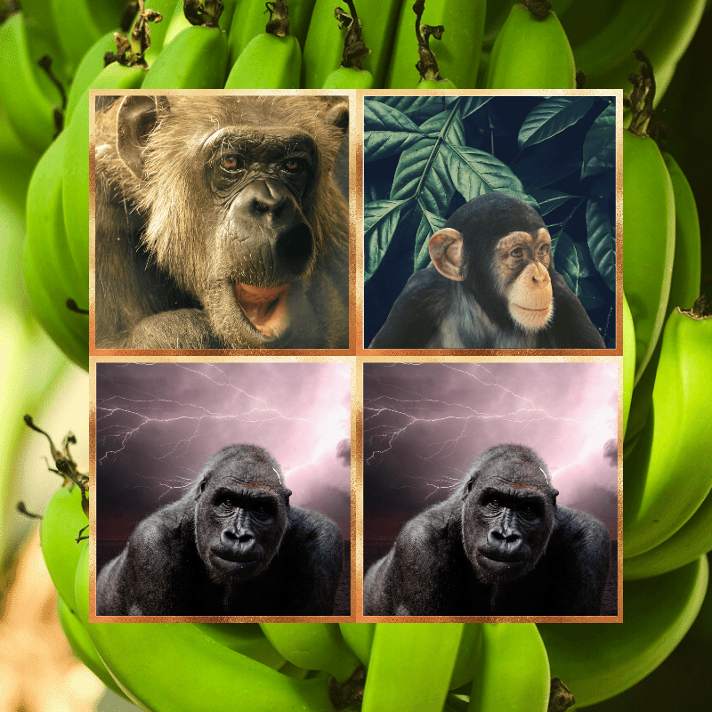 Banana legends #4 static token preview