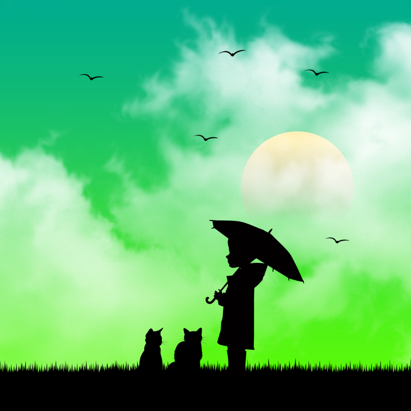 We Care...Cat #6 static token preview