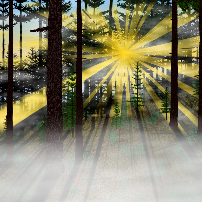 Forest Sunrise #16 static token preview