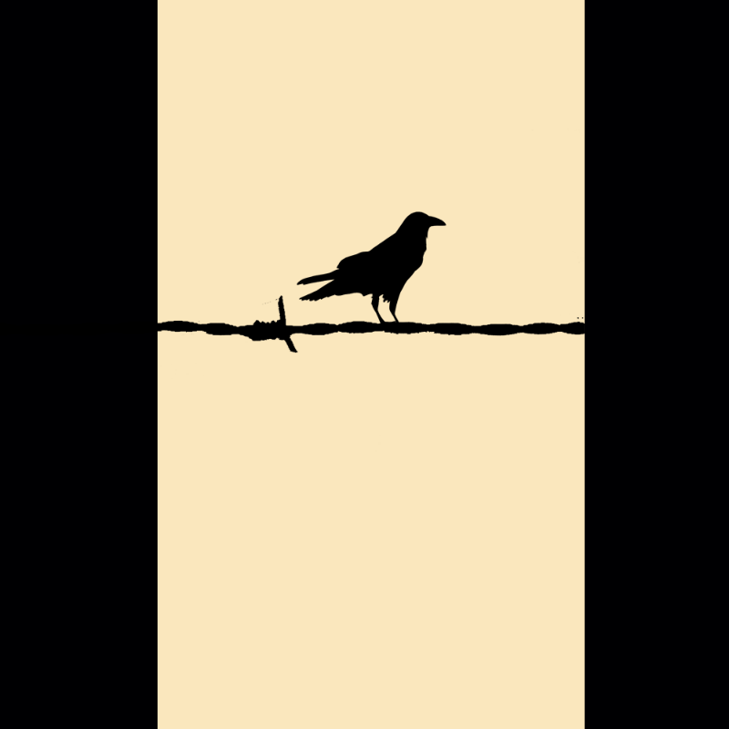 Crow #11 static token preview