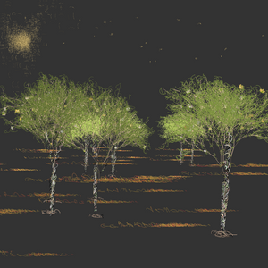 Black winter forest project preview