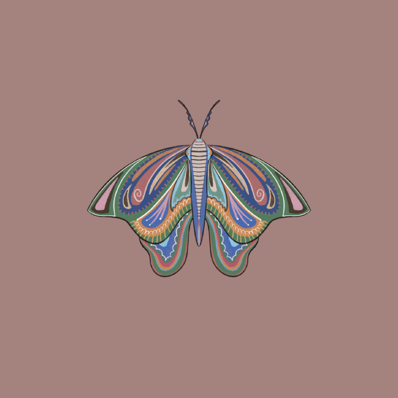 The Moth Experiment 2.0 P1 #13 static token preview
