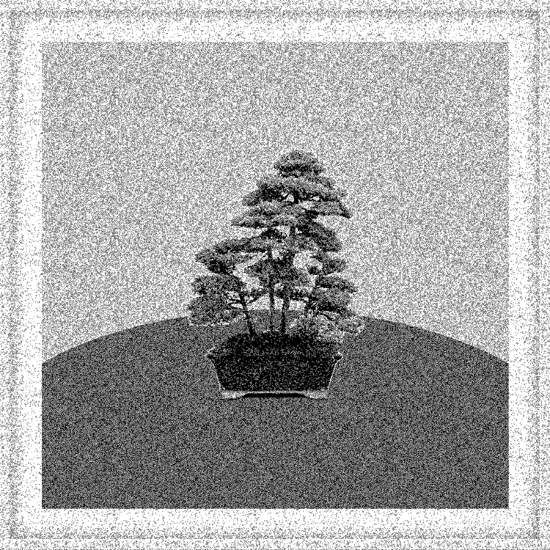 Bonsai Bonanza #497 static token preview