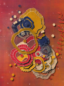 Coral project preview