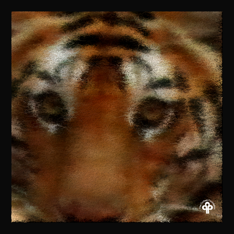 (re)generative tigers #23 static token preview