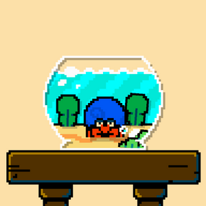 hermit crab project preview