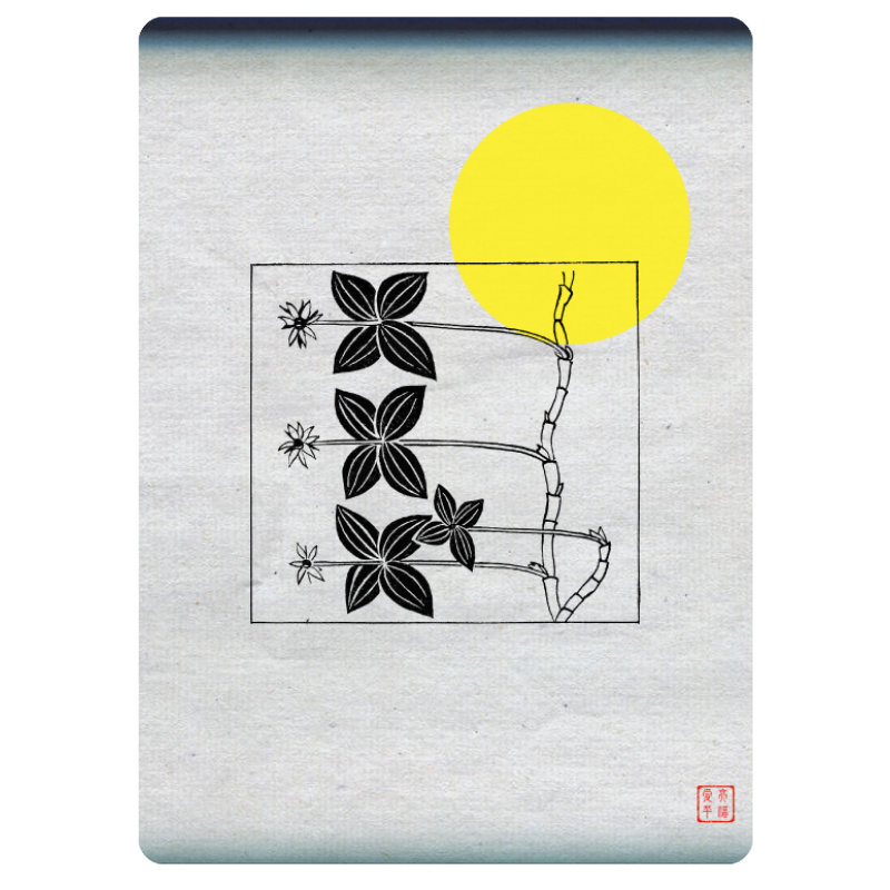 Zen flower card #19 static token preview