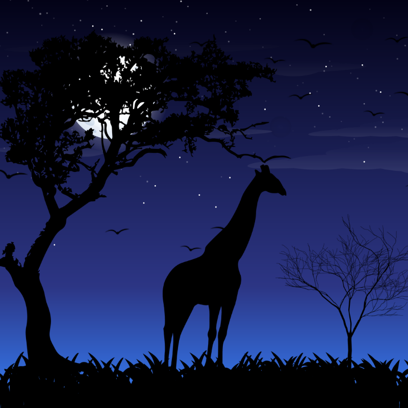 We Care... Giraffe #1 static token preview