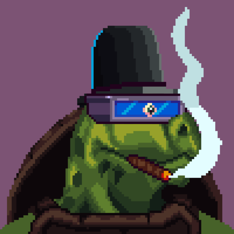 Turtles #20 static token preview