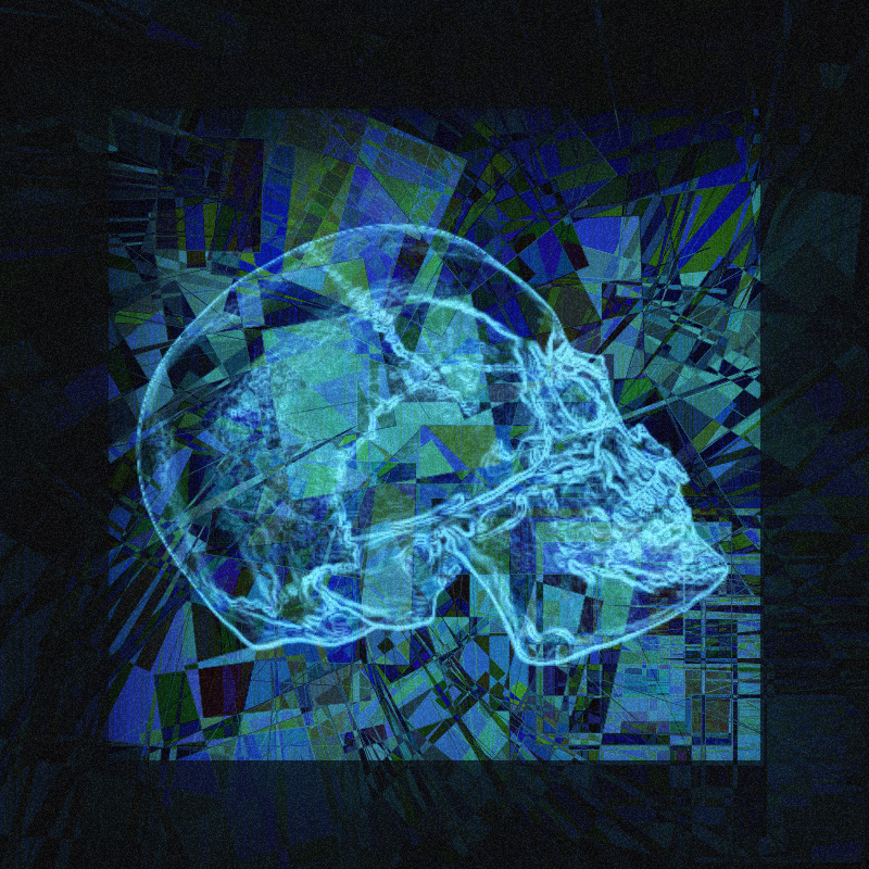 X-ray of a skull #11 static token preview