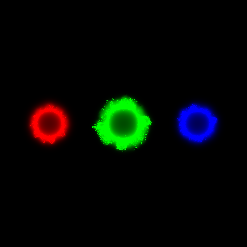 Physarum polycephalum #1 static token preview