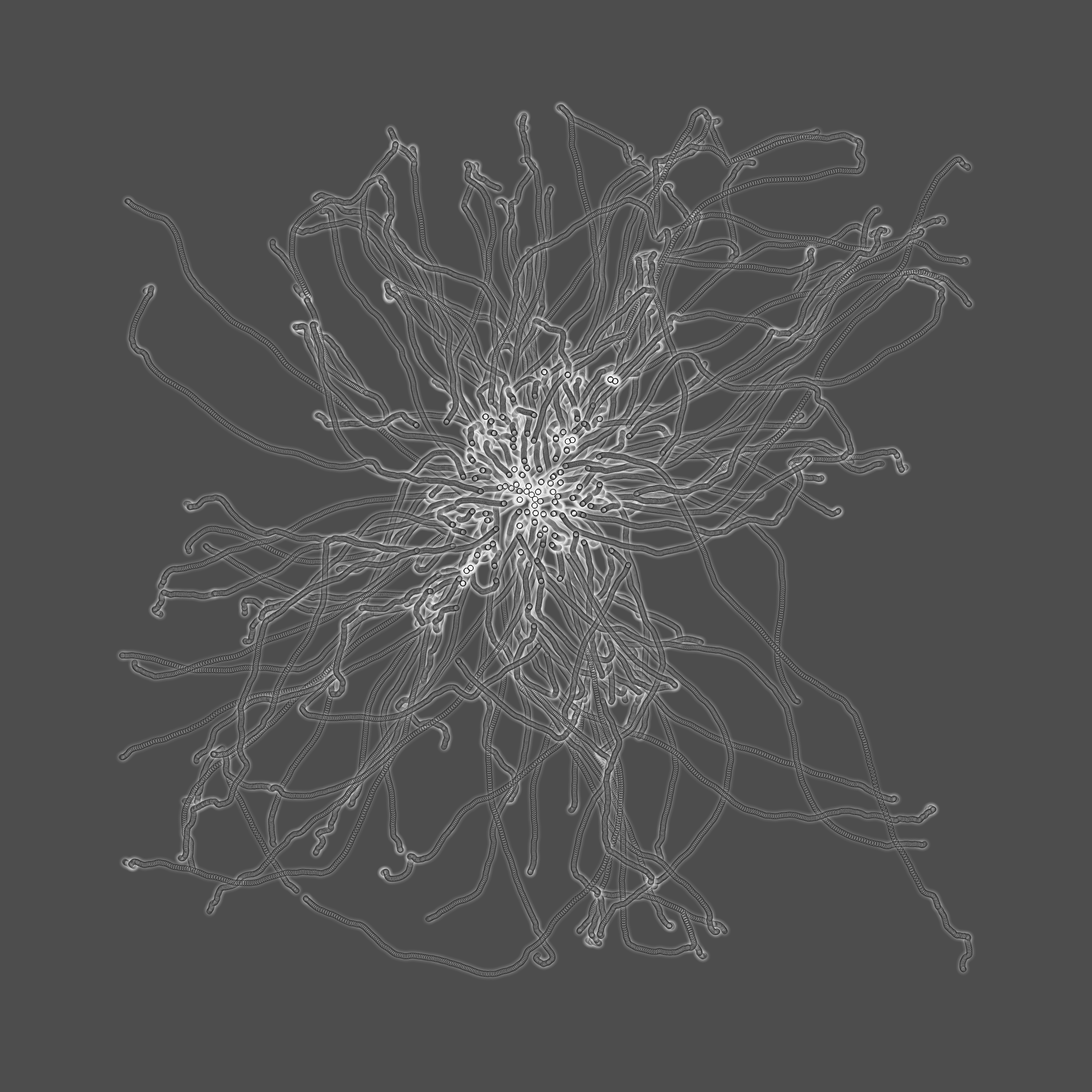 grey fungi wisdom #97 static token preview