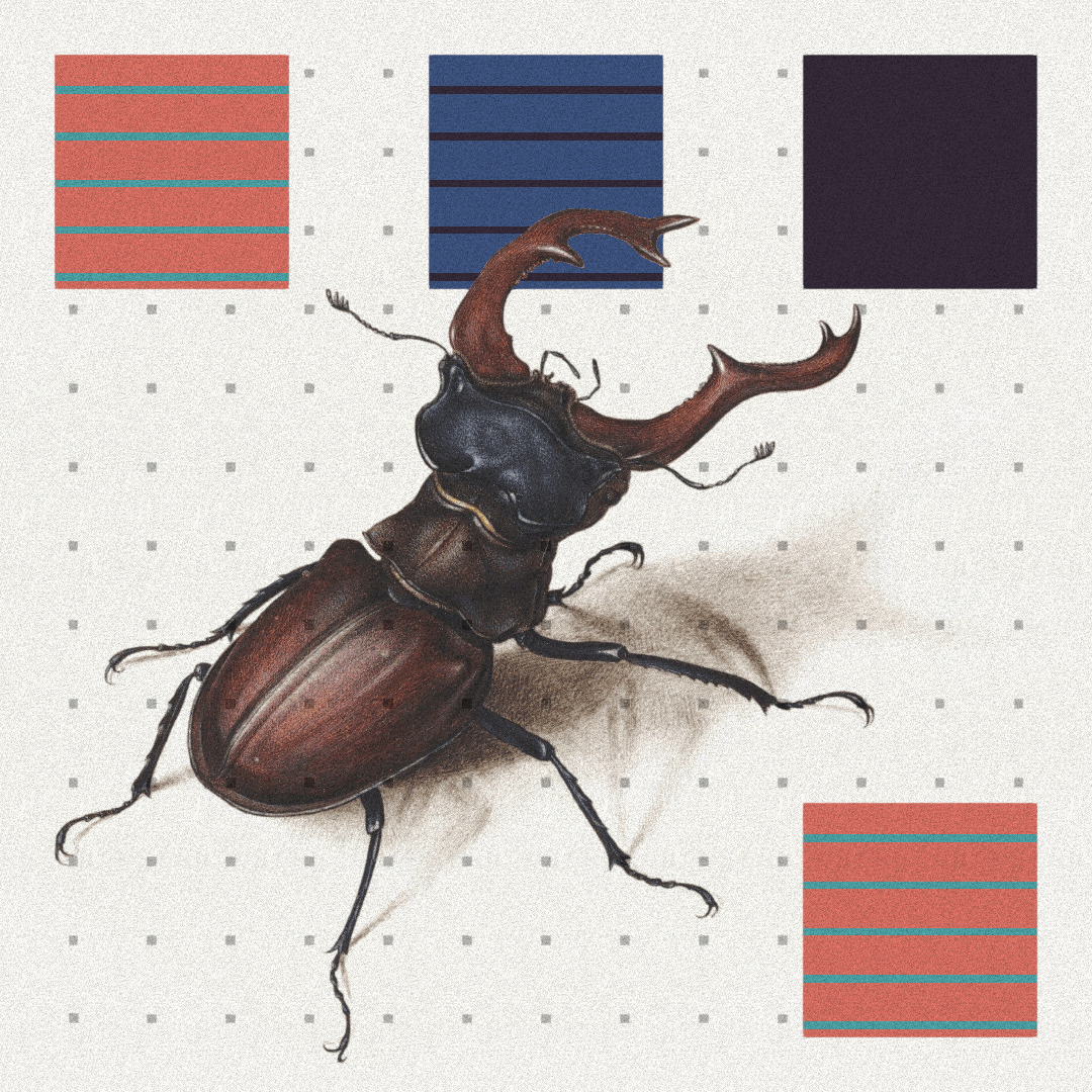 Beetle #8 static token preview