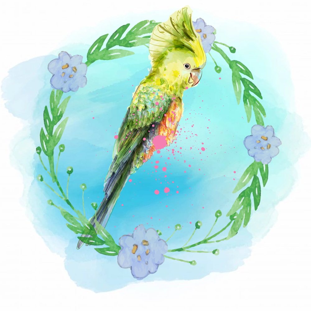 Random Tropical Birds #17 static token preview
