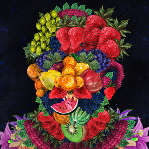 The Arcimboldo Project project preview