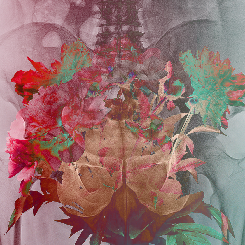 flowers and death #18 static token preview