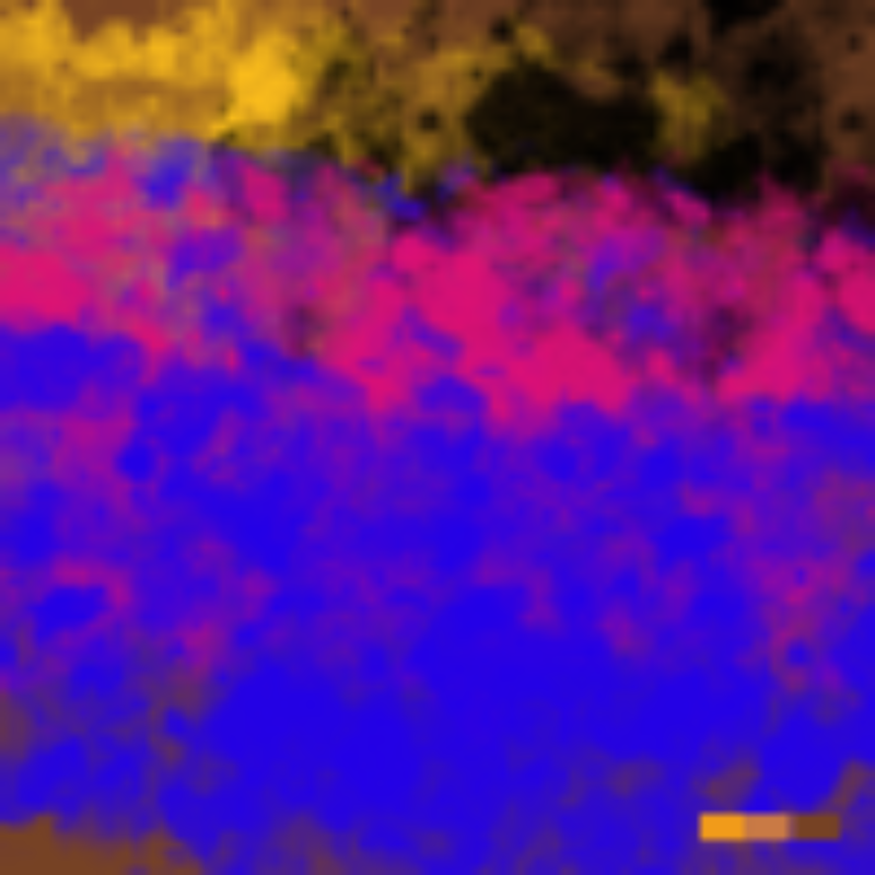 Today, I'm blurry! #2 static token preview