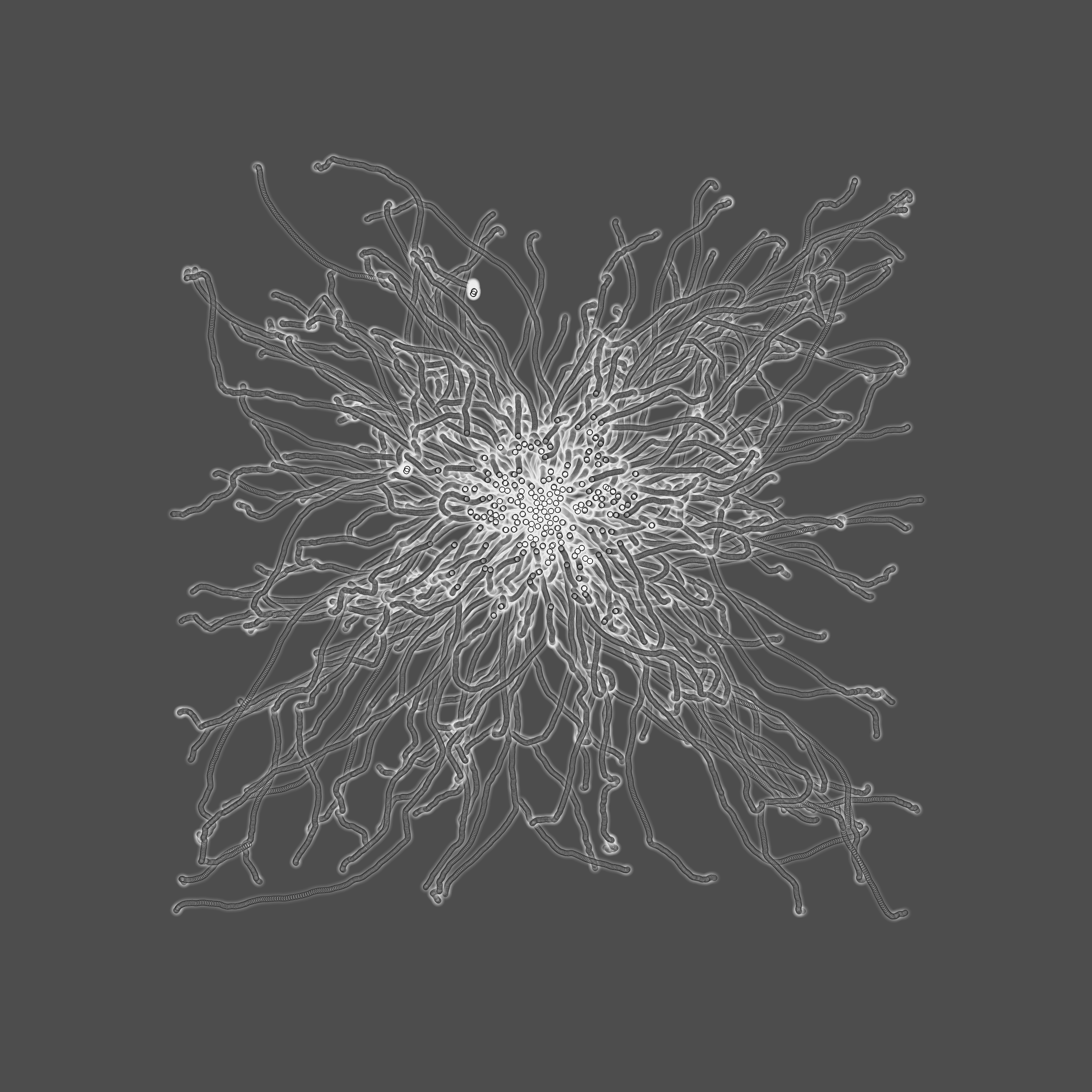 grey fungi wisdom #91 static token preview