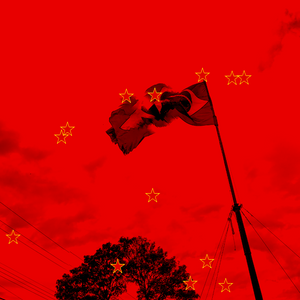 For democracy of Brazil project preview