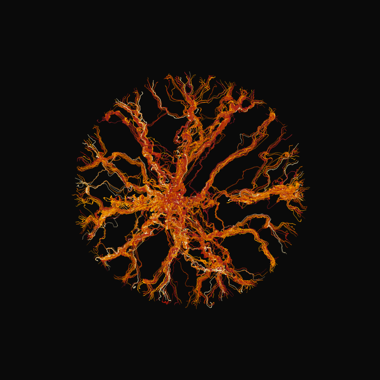 Ginseng #17 static token preview